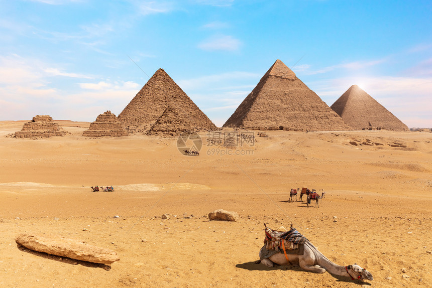 埃及沙漠中的吉扎金字塔和骆驼吉扎金字塔和埃及沙漠中的骆驼太阳教科文组织撒哈拉图片