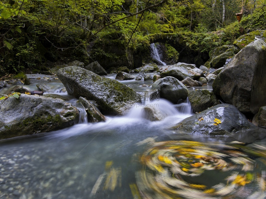 瀑布岩石上有落叶草地流水步行全景风图片