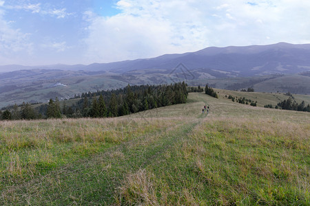 旅行者景观小路沿山顶的公上一群游客在山地夏季风景背下游来喀尔巴阡山脉和穿过丘的公路景色美观以及卡帕提亚山脉和经过丘的公路背景图片