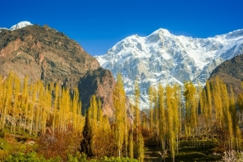 巴基斯坦北部地区秋季的Hunza山谷美丽的地貌景观天气森林河图片