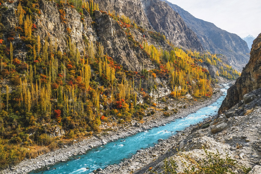GilgitBaltistan在秋天的表演中展示了多姿彩的场景洪扎河沿巴基斯坦Karakoram高速公路Hunza河谷流动风景绿图片