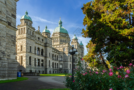不列颠哥伦比亚省议会大厦的美景加拿大维多利亚市有玫瑰花棚文化材料美丽的花园高清图片素材