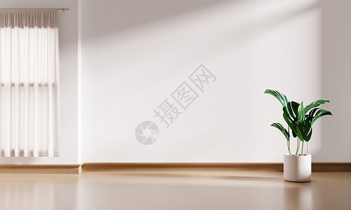 当代的屋木头白色室内空房背景木地板和百叶窗上装有户和Foranda植物锅的白内空房间和木板百叶窗以及建筑概念生态装饰风格3D显示背景图片