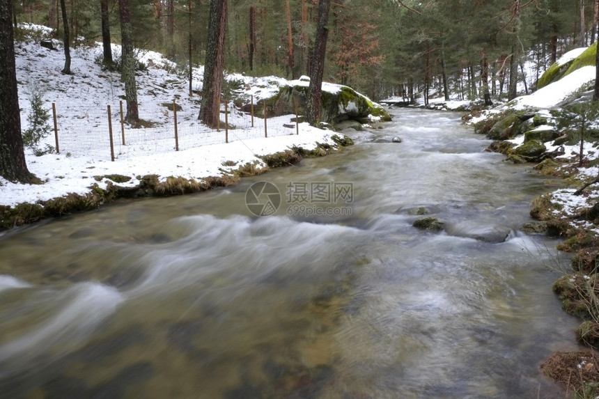 水自然埃雷斯马河苏格兰松林瓜达拉马山脉公园塞哥维亚卡斯蒂利和莱昂西班牙欧洲生态系统图片
