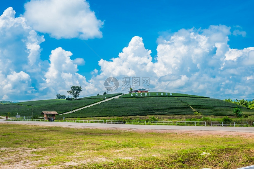 地标叶子日本泰国ChiangRaiChhoouiFong农场茶叶种植的景观是泰国清莱最顶级旅游目的地图片