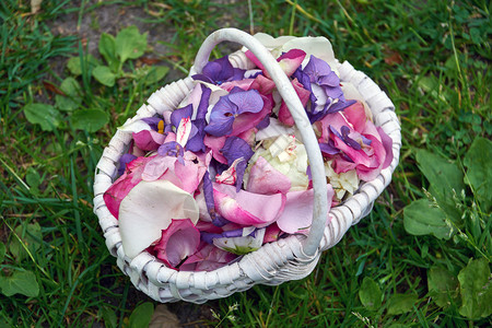婚礼仪式的玫瑰叶花细节粉色图片