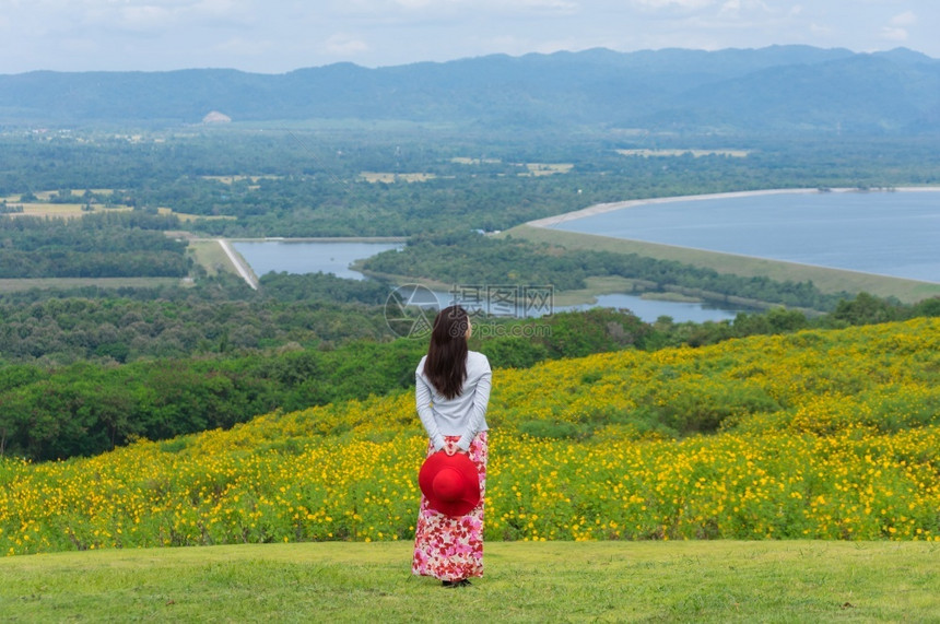 白色的人们身着自然花的美丽女子她穿着白色礼服和红帽子在泰国兰芒省MaeMohCoalMine的TungBuaTong墨西哥向日葵图片