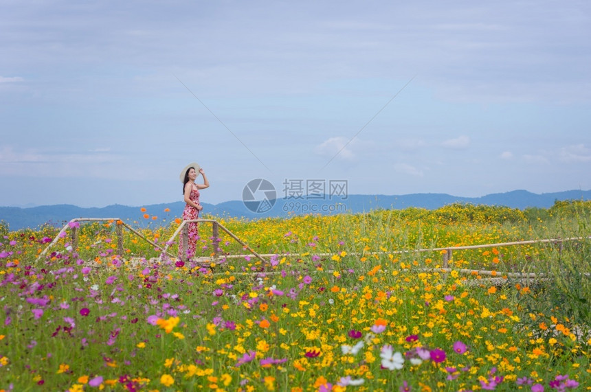 身着自然花的美丽女子她穿着白色礼服和红帽子在泰国兰芒省MaeMohCoalMine的TungBuaTong墨西哥向日葵田上穿白裙图片