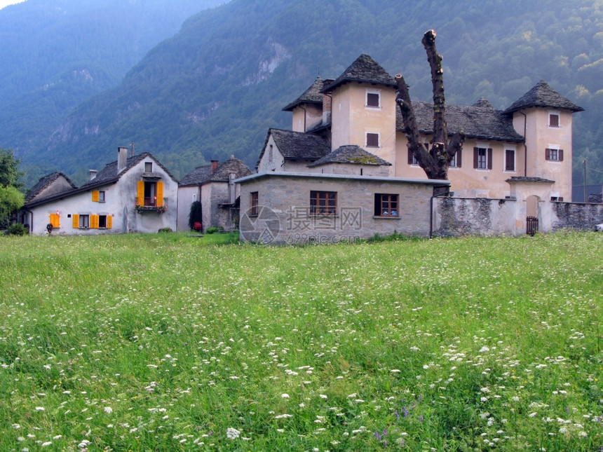 假期时间瑞士南部Verzasca山谷的老拖拉多自然图片