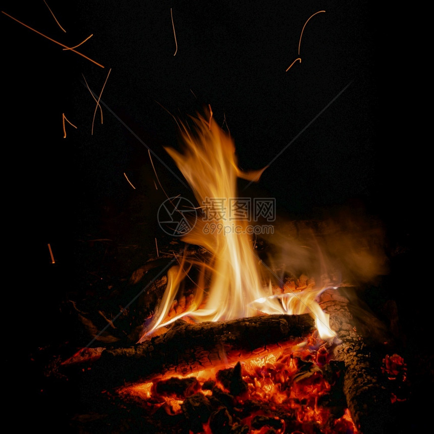 火烧木柴野林用火燃烧夜间旅游取暖和照亮易燃夜晚为了图片