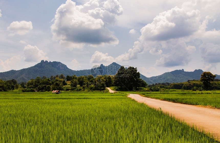 美丽的直通村庄空路径边上和后面有风景观周围是林山晨光云明蓝天空阳光灿烂晴朗而明亮没有重点在后面图片