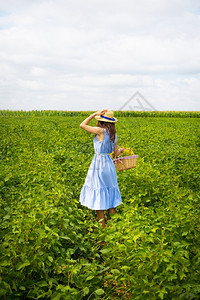 快乐的戴着帽子和蓝板的漂亮女孩站在一个绿色田地漂亮的女孩面前戴着帽子蓝色板站在绿地上运动蓝色的背景图片