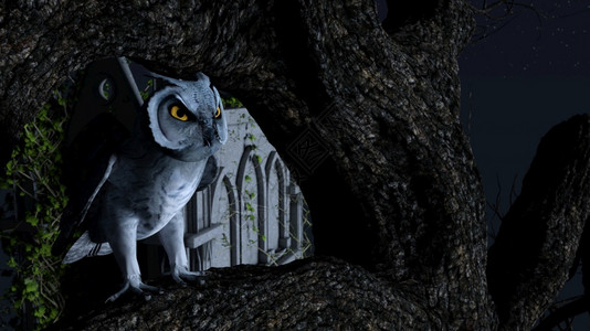 预售不眠夜木头美丽野生动物一只猫头鹰在陵墓附近的蓝色月光下一动不地坐在棵树上3d渲染一只猫头鹰在陵墓附近的蓝色月光下一动不地坐在棵树上设计图片