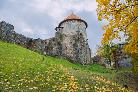 秋天满地落叶的城堡图片