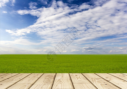 场地新鲜的田园诗般蓝色天空下绿地林木板美丽大自然背景绿地图片