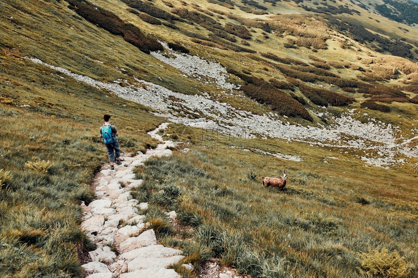 带着背包在山上徒步旅行的年轻人积极度过暑假渡观看少年从山顶下到脚沿坡谷走下来的青少年穆戈女士积极的图片
