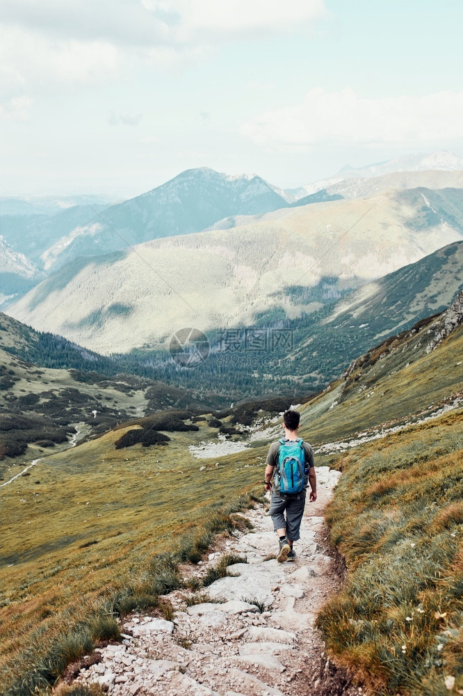 最佳带着背包在山上徒步旅行的年轻人积极度过暑假渡观看少年从山顶下到脚沿坡谷走下来的青少年沿着公园图片