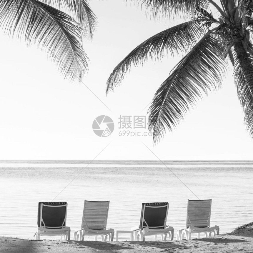 热带海滩上的棕榈树沙地上摆着甲板椅俯视美丽的黑白水岛黑色的图片