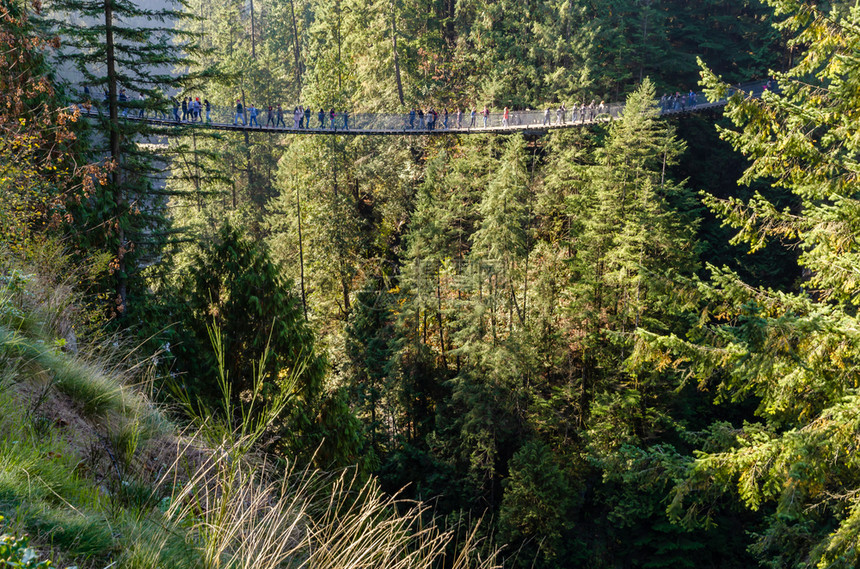 谷在加拿大不列颠哥伦比亚省北温华卡皮拉诺河沿岸Capilano悬吊桥公园上行走的游客目地人们图片
