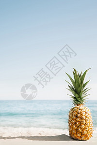 海边沙滩上的菠萝图片