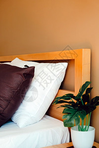 现代白色床铺和清晨心情中的枕头在卧室中安装人造植物饰酒店寝具纺织品图片