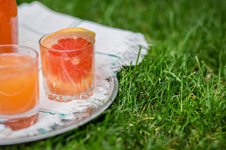 酒鬼新鲜的饮料冰和薄荷柑橘鸡尾酒装有美丽的眼镜和壶子鲜熟的柑橘装在花园新鲜柑橘水果葡萄酱中图片