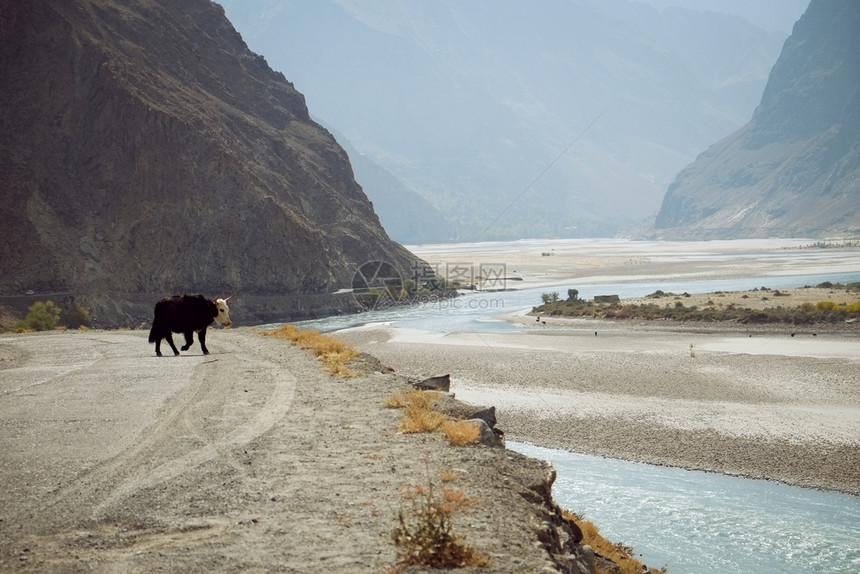 巴基斯坦SkarduGilgitBaltistan山区河流经的自然景观图阳光早晨沙漠图片