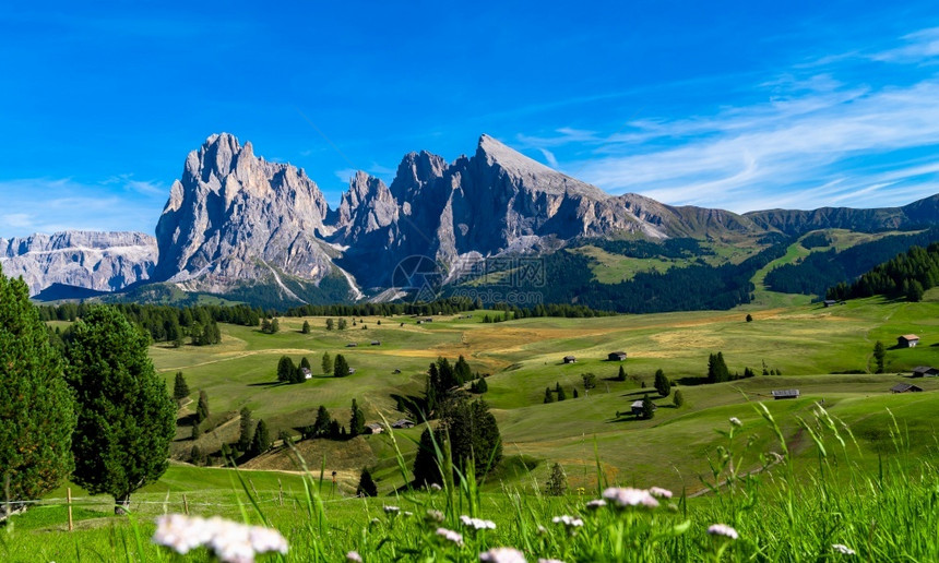 高山多洛米蒂峰Dolomites的Seceda山脉TrentinoAltoAdigeValdiFunes山谷意大利南蒂罗尔背景中图片