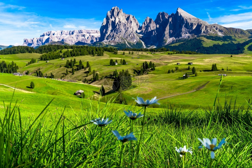 户外意大利语盖斯勒Dolomites的Seceda山脉TrentinoAltoAdigeValdiFunes山谷意大利南蒂罗尔背图片