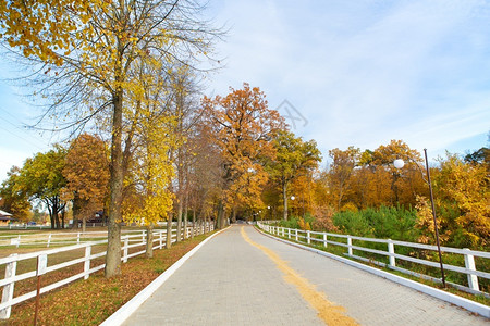 美丽的金色秋天所有颜的秋美丽公园中间的路有趣周末露天度假牧草地金色的秋天稳定的一种农业背景图片