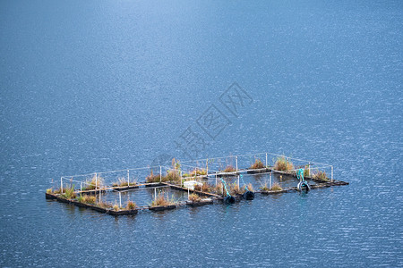 马林海中鱼场笼子阳光明媚的一天海鲜农业图片
