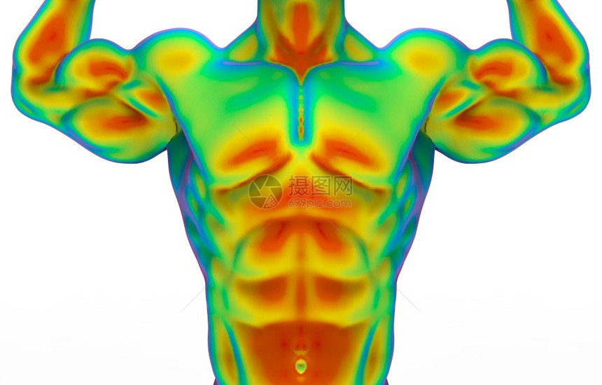 科学最佳通过红外线结构测量用白色背景隔离的剪切路径进行人体肌肉扫描的前侧顶部分3d经过图片