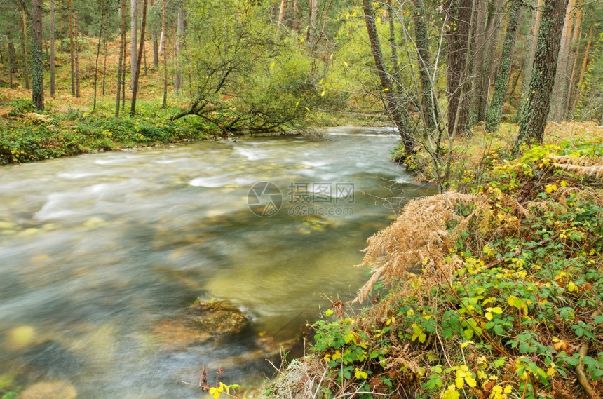 流动黄色的木头西班牙塞戈维亚雨天BocadelAsno自然公园森林中一条河流的景象图片