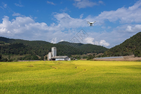 专业的农无人驾驶飞机在小麦田上方空中飞翔工业农智能作和场结构以本底智能农作工业的土地背景