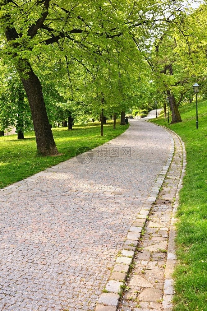 美丽的绿色春公园在的路上镇中心的美丽宁静地方休息和放松室外布诺市捷克斯皮尔伯克州安静的天气小路图片