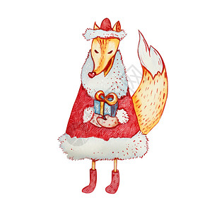 费特希耶滑翔伞绘画新的特点穿着毛皮大衣脚靴和手套的狐狸在礼物盒的爪子里水彩色插图设计图片
