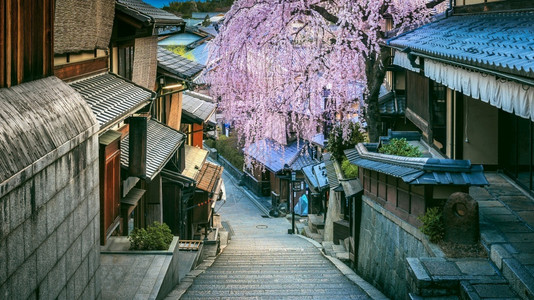 风景优美盛开白川日本京都史诗人Higashiyama区全景图片