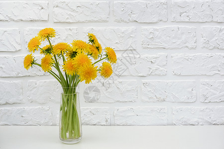 植物黄色的老桌子背景白砖墙上花瓶中的黄色蒲公英花束复制空间明信片文本设计概念的最小样式模板明信片设计概念Womenrsquos日背景图片