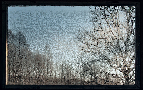 透过冰晶形态和阳光的霜冻玻璃窗板以树木为视线对进行软聚焦水晶窗户质地图片
