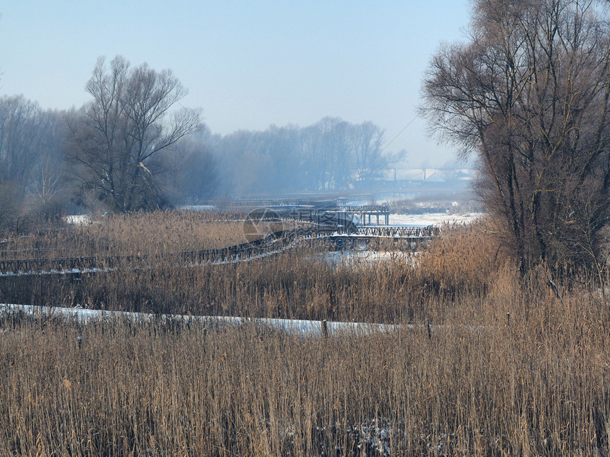 冰老的冬季在克罗地亚巴拉尼的Kopacecevo新修建的冷冻行人桥木头图片
