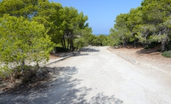 宁静白色道路位于马贾卡圣埃尔姆山上脉的森林中平静阳光图片