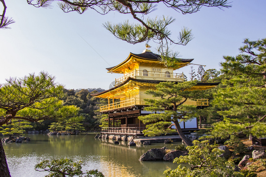 池塘京都日本2018年3月日金殿的馆美丽神庙建筑京都寺是日本最有名的寺庙之一湖亭图片