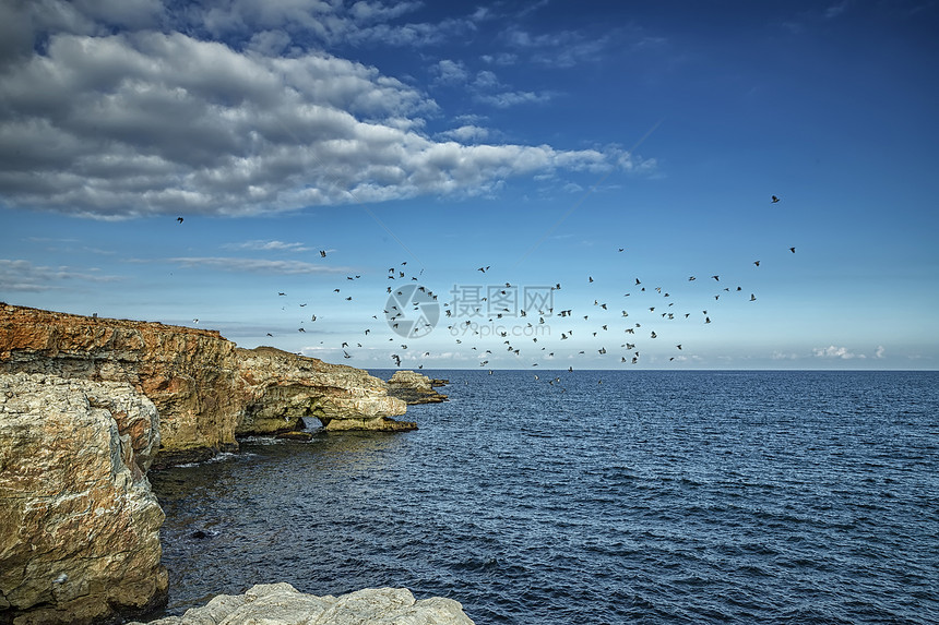 边缘一种欧洲保加利亚黑海Tyulenovo村附近有一只飞鸟在海岸线悬崖边的突出景观图片