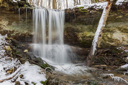 林地溪流冬季白雪和树木的瀑布旅行照片290叶子图片