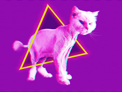 猫幻想90年代复古的粉色当代艺术拼贴画概念孟菲斯风格的曼招贴画抽象最小化和闪烁效果粉红猫雷特罗波合成同步蒸汽肖像有趣的猫孟菲斯风格海报设计图片