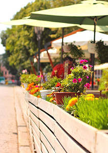 旅行中央小镇路边咖啡厅附近的夏花旅游图片
