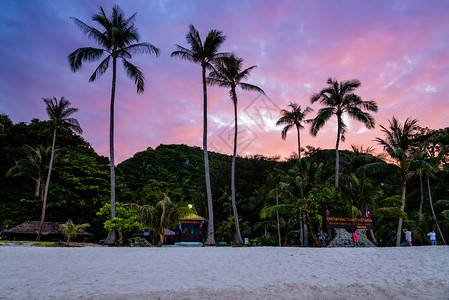 生动丁字裤苏拉特萨尼省泰国湾MuKoAngThong海洋公园在日落时多彩天空下的KoWuaTaLap岛前海滩上椰子树美丽的天然景背景图片