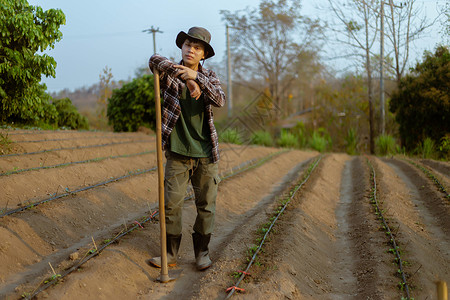 春天农田营养的园艺概念男农民利用在土壤中挖洞的蹄子进行蔬菜田种植为物做准备生产高清图片素材