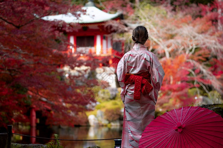 米诺地尔公园在日本京都旅游自然生命的秋季天日本穿传统基米诺礼服的年轻日本女孩旅行者站立在Digoji寺庙配着红塔和木叶游客戏服背景