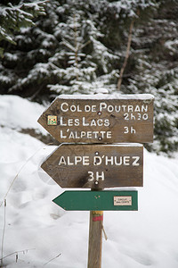 树采取欧桑冬天的阿尔卑斯山法国阿尔卑斯山的AlpedHuez滑雪场图片